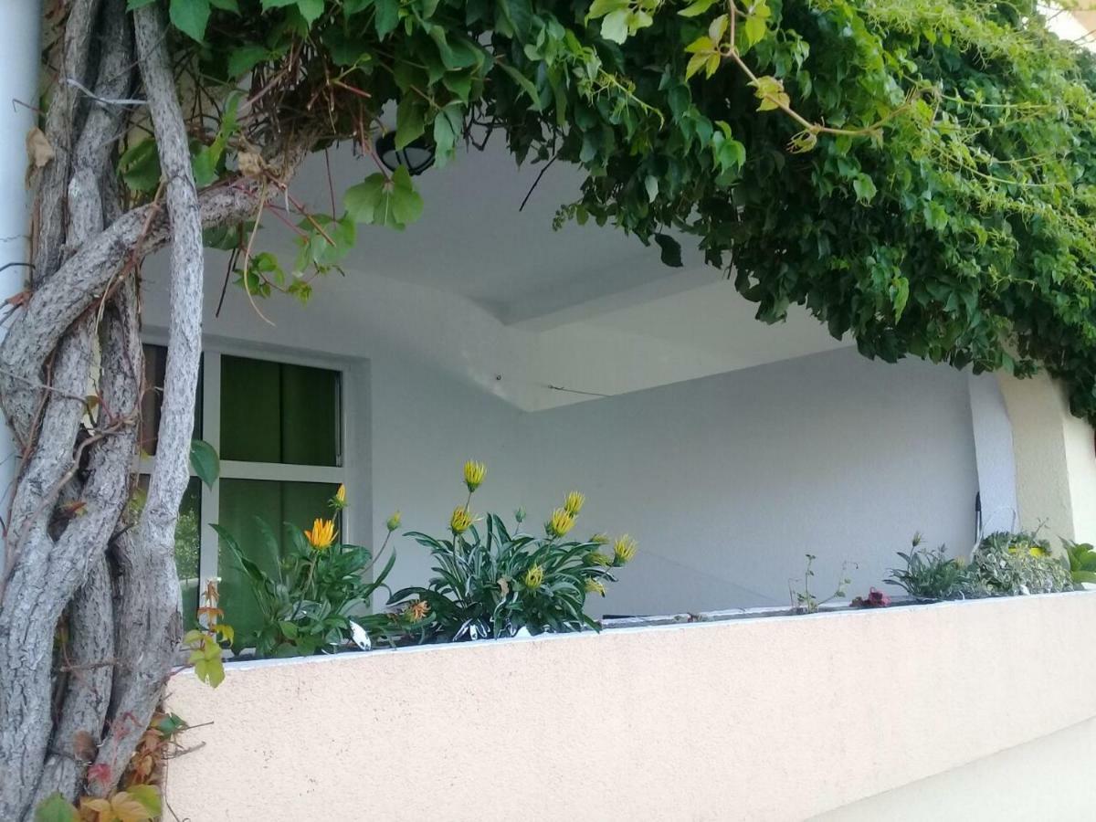 Montenegrina Apartment بودفا المظهر الخارجي الصورة